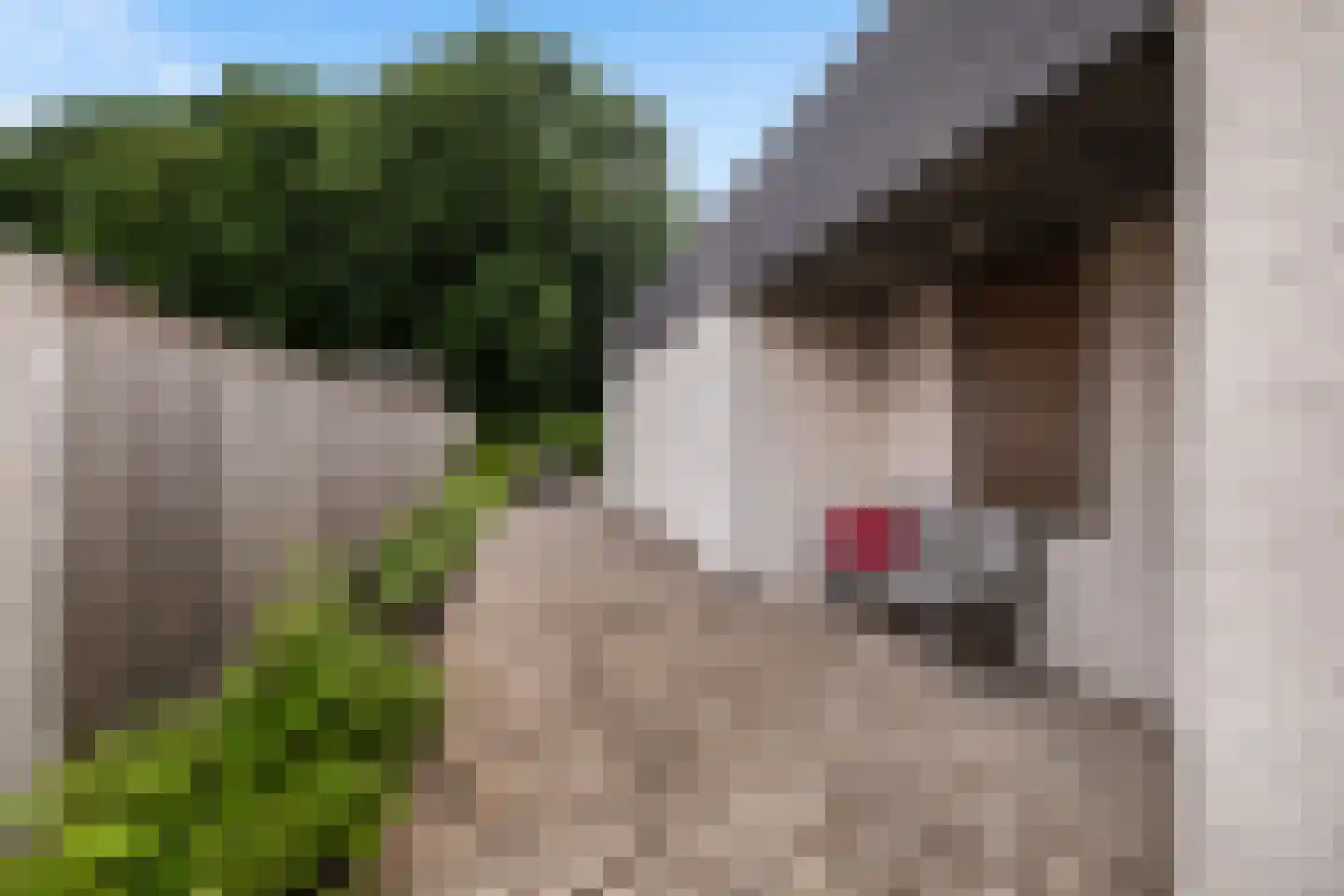 Hunzingo 4 Dronten thumbnail 37
