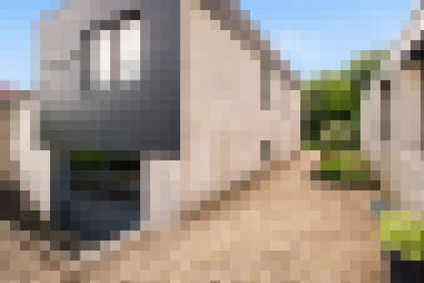 Hunzingo 4 Dronten thumbnail 38