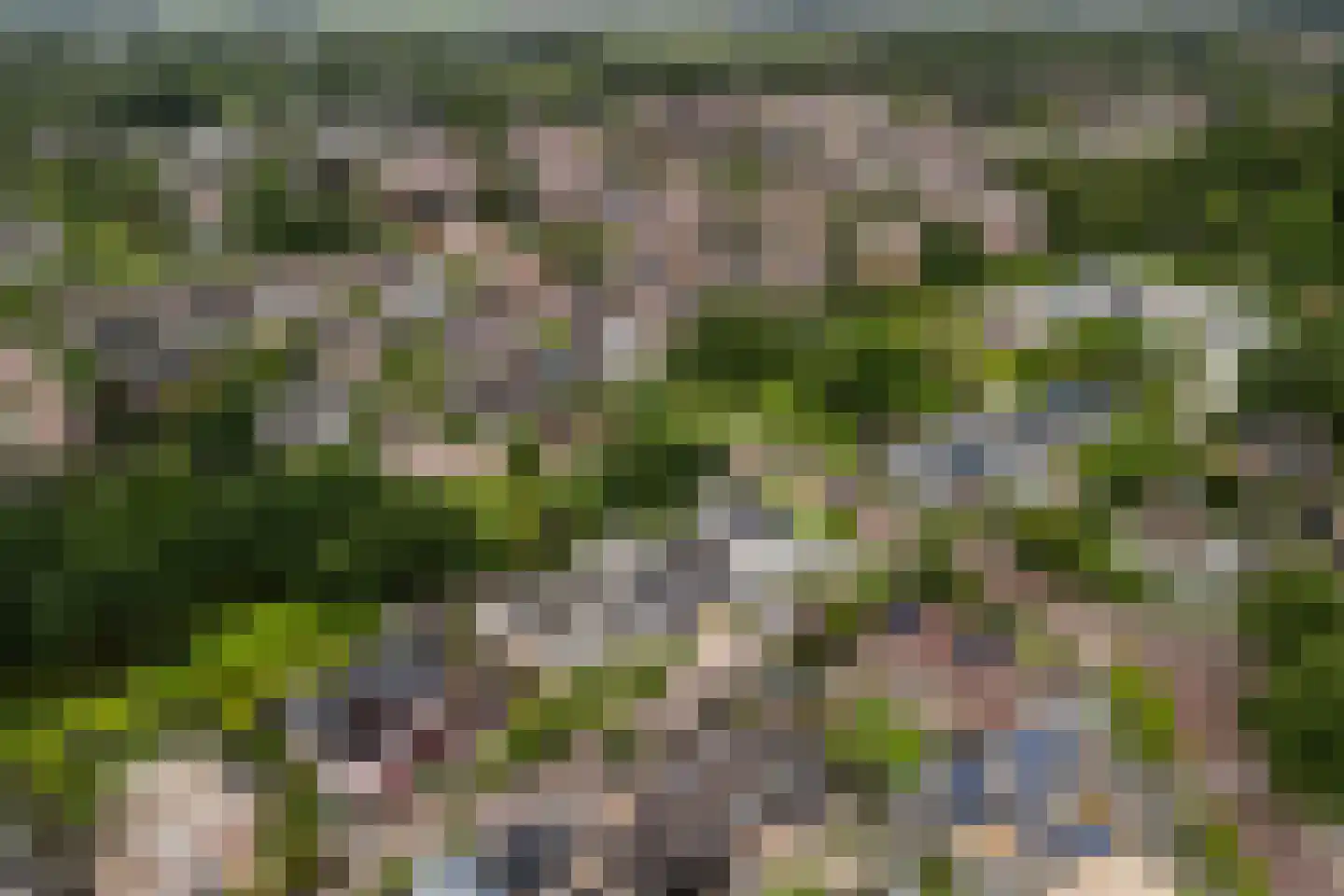Hunzingo 4 Dronten thumbnail 40