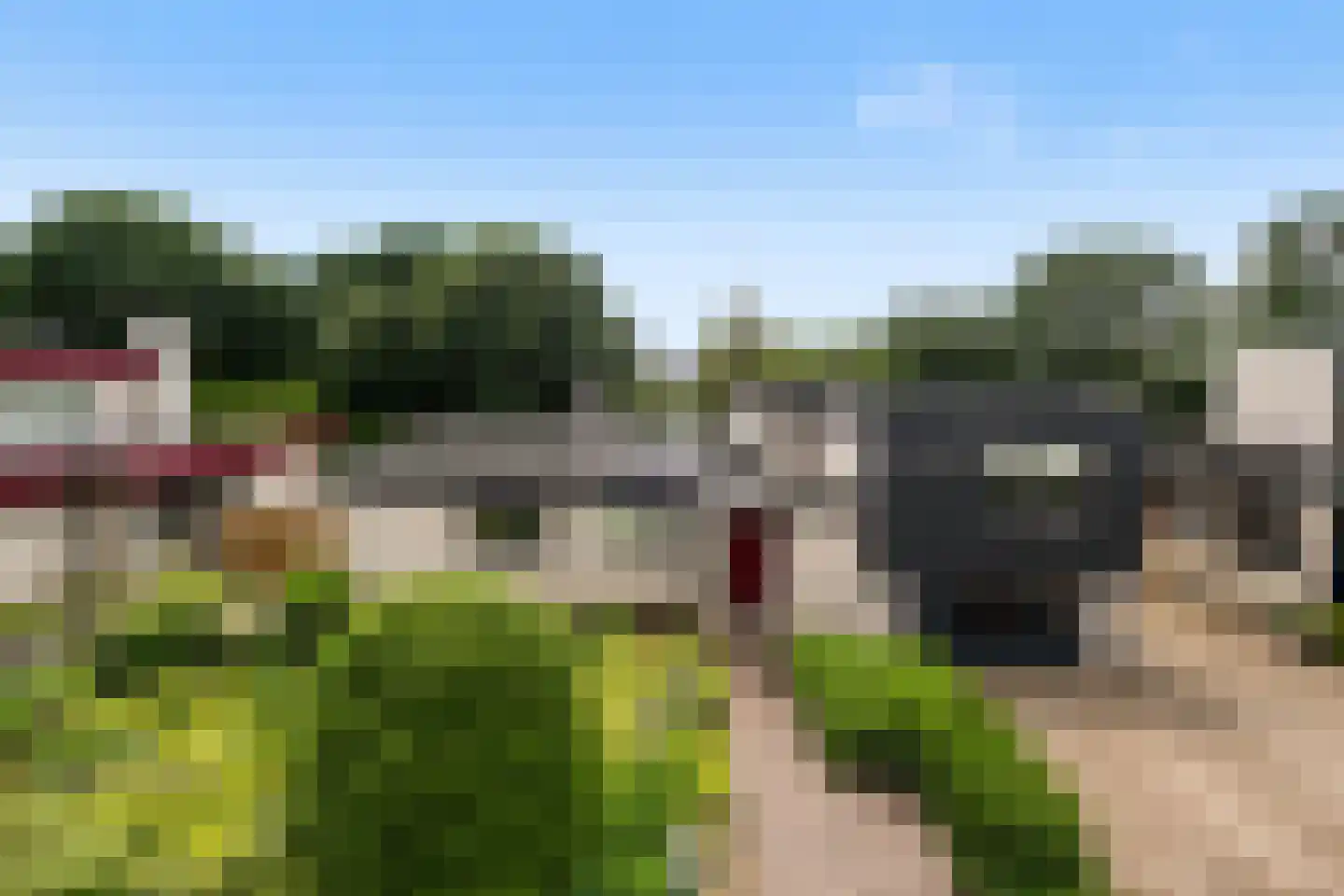 Hunzingo 4 Dronten thumbnail 42