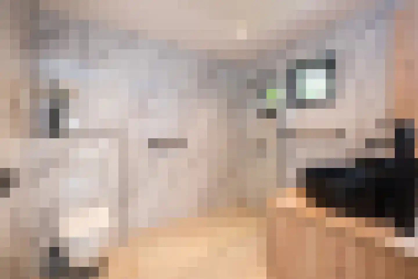 Hunzingo 4 Dronten thumbnail 6