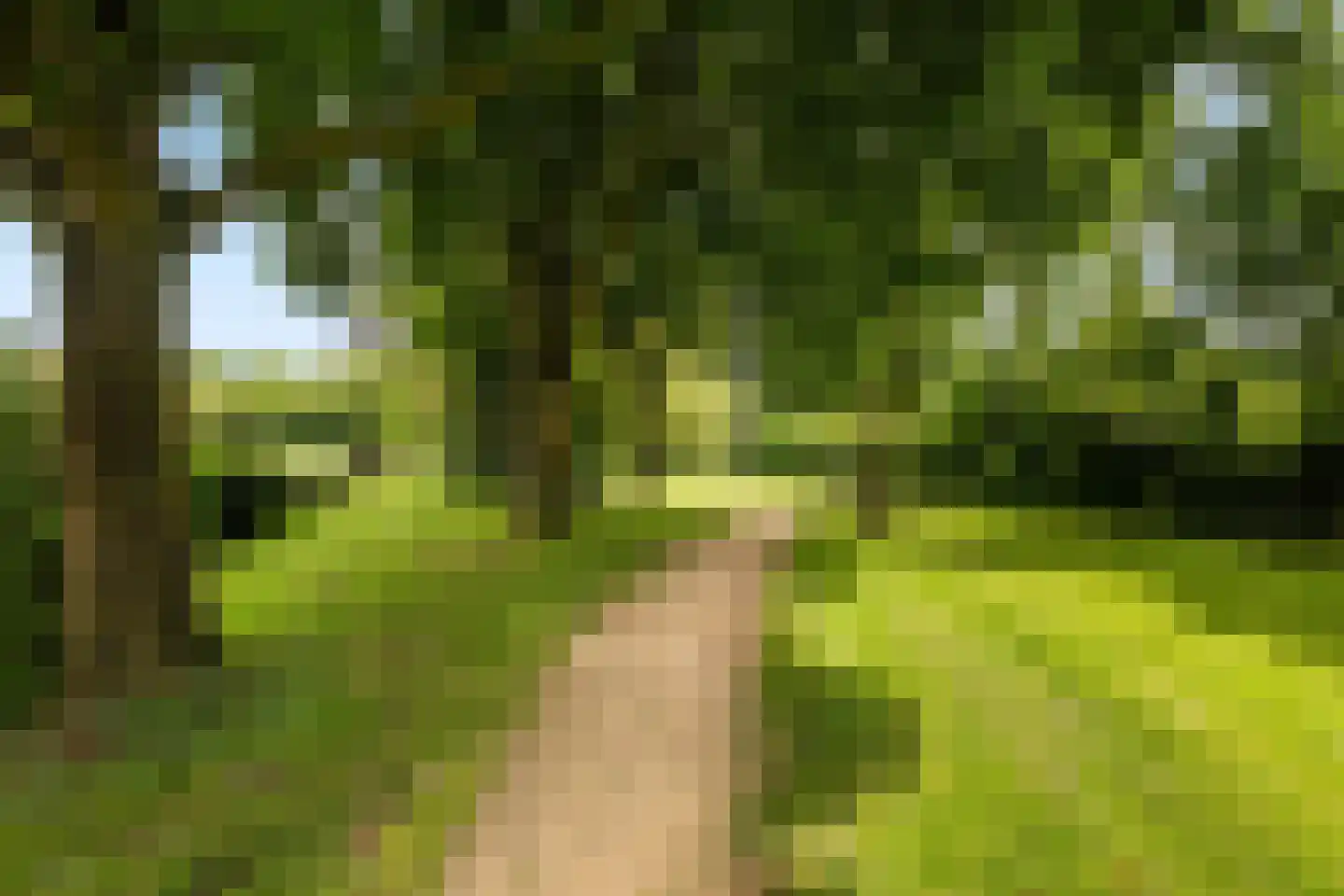 Hunzingo 4 Dronten thumbnail 9