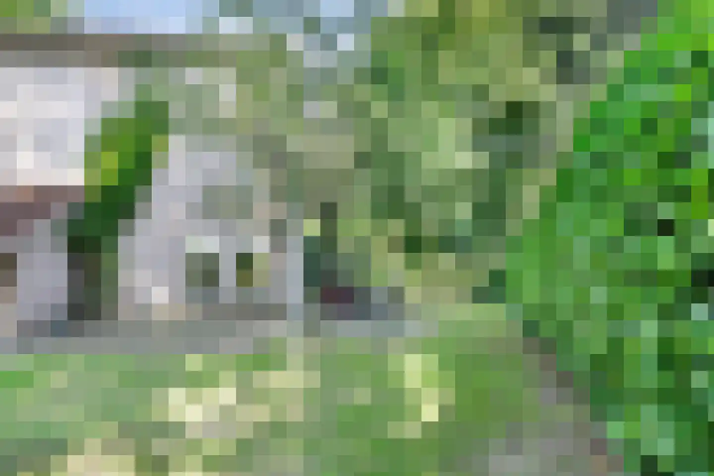 Hupselse Markenweg 4 101 Eibergen thumbnail 32