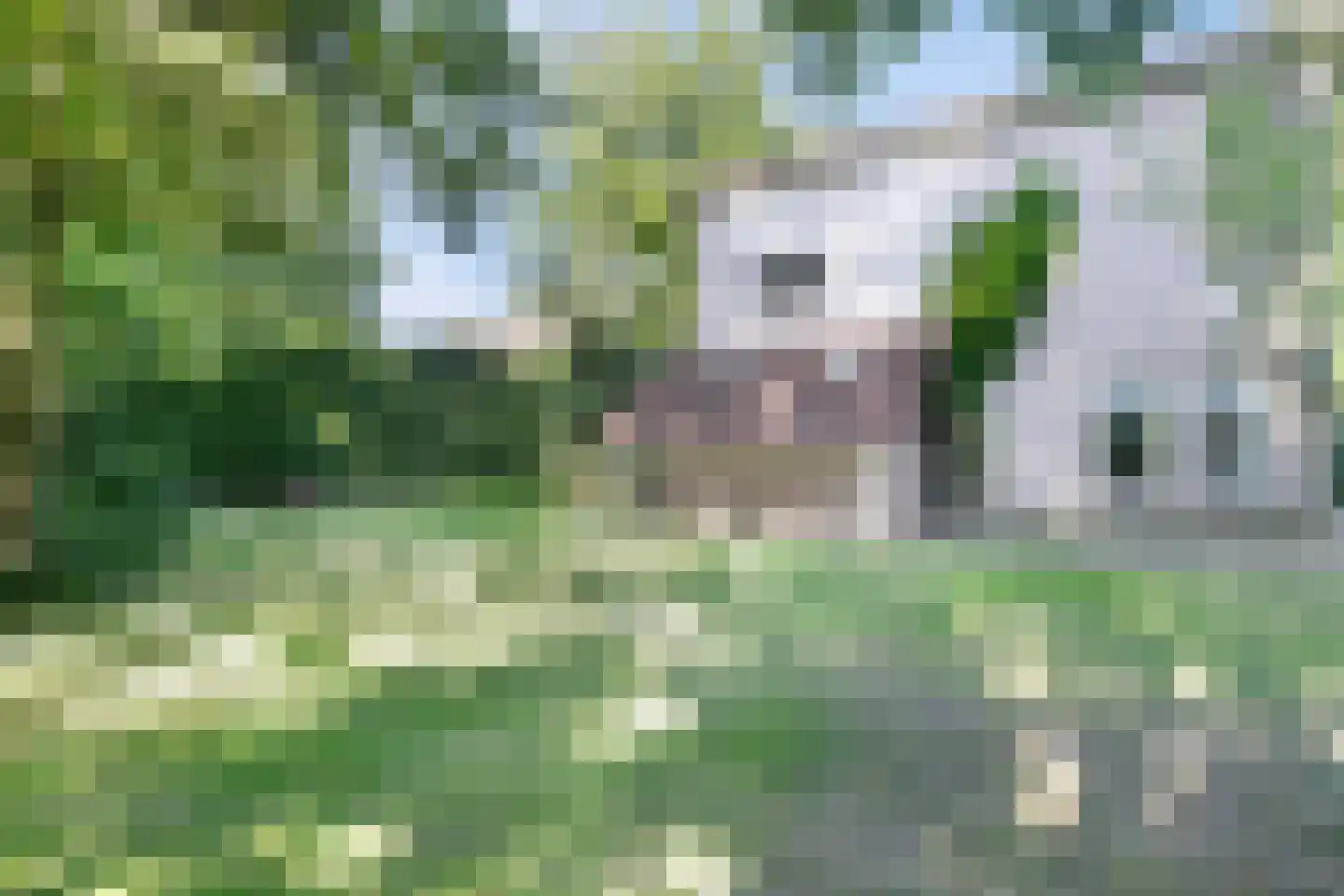 Hupselse Markenweg 4 101 Eibergen thumbnail 34