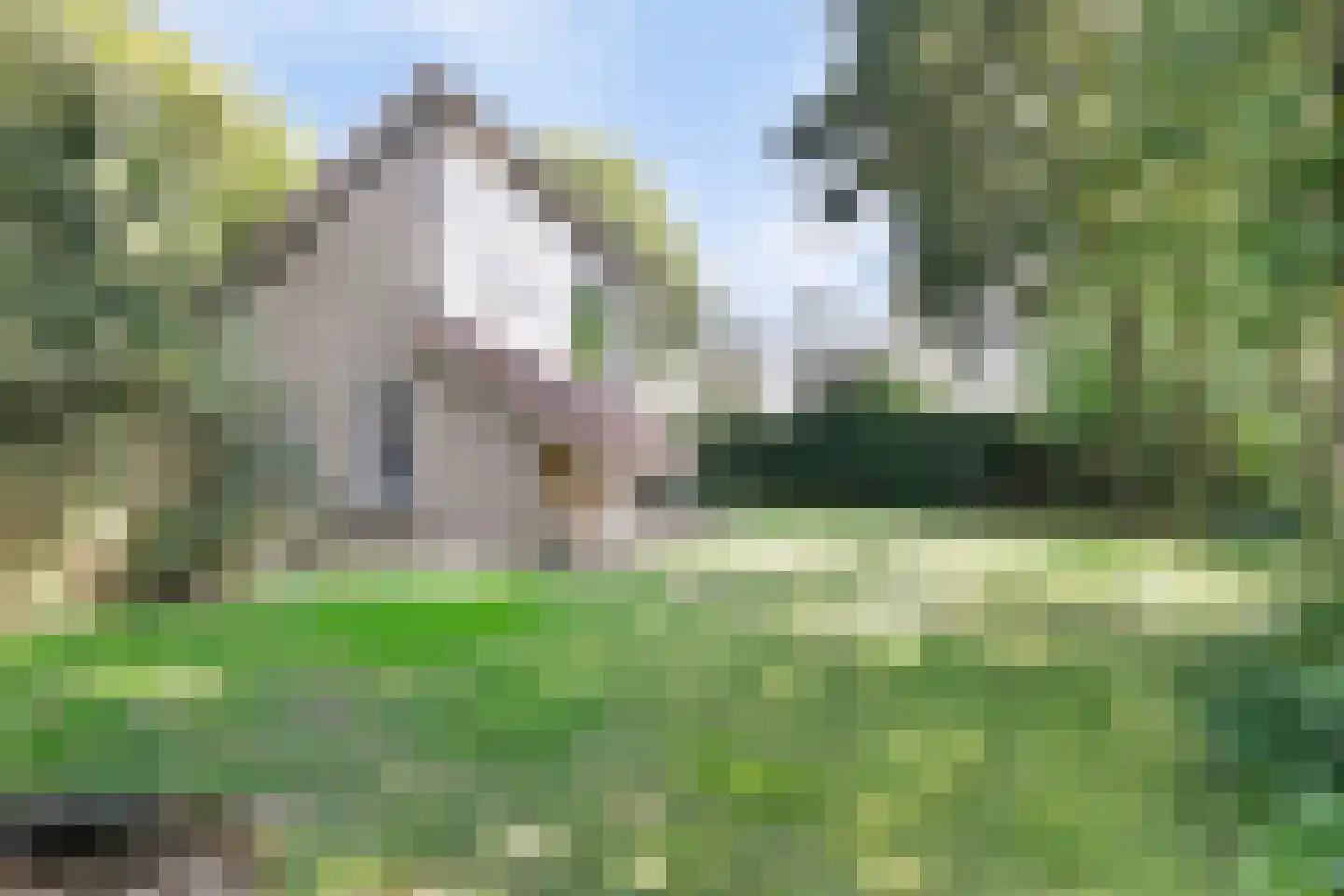 Hupselse Markenweg 4 101 Eibergen thumbnail 35