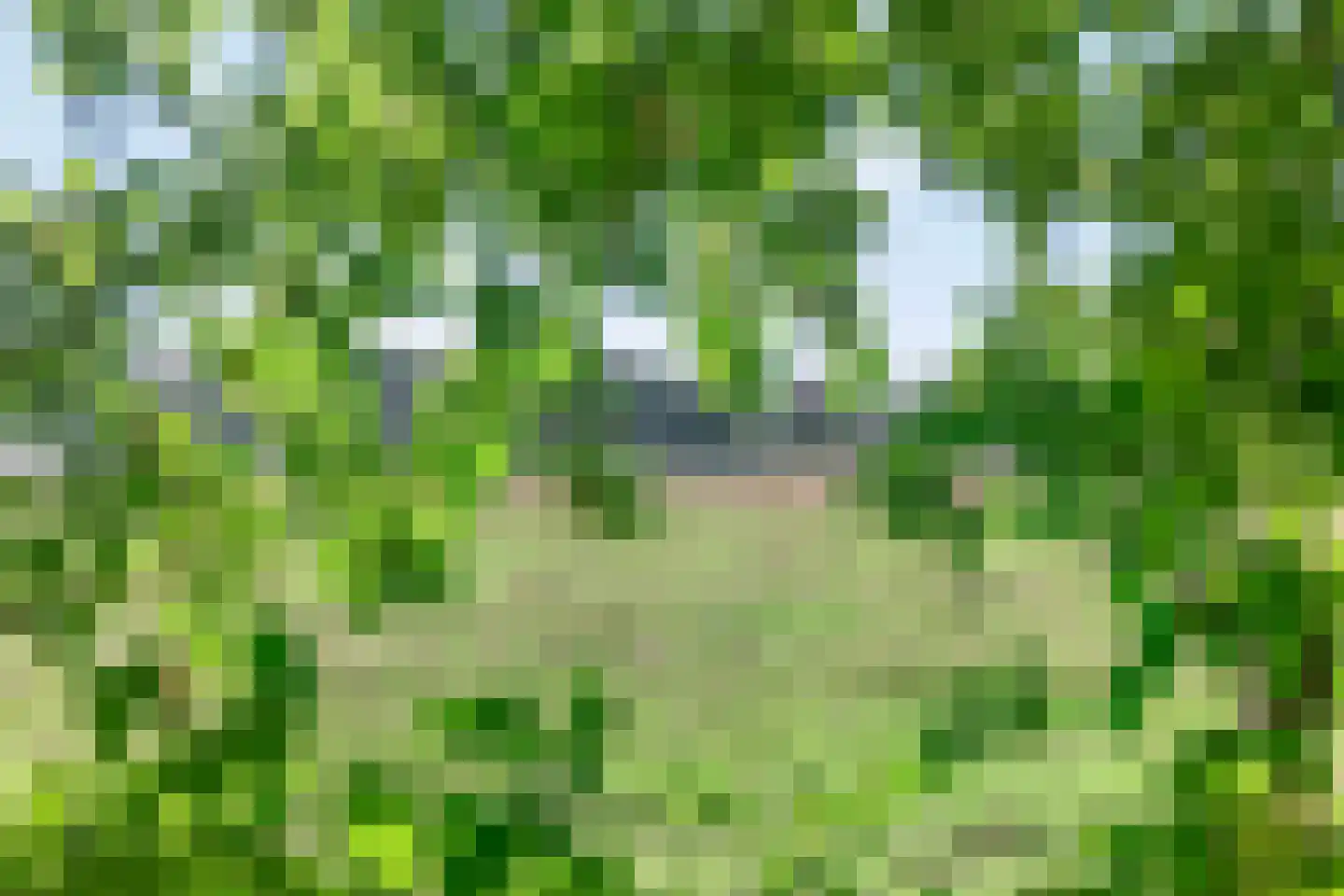 Hupselse Markenweg 4 101 Eibergen thumbnail 37