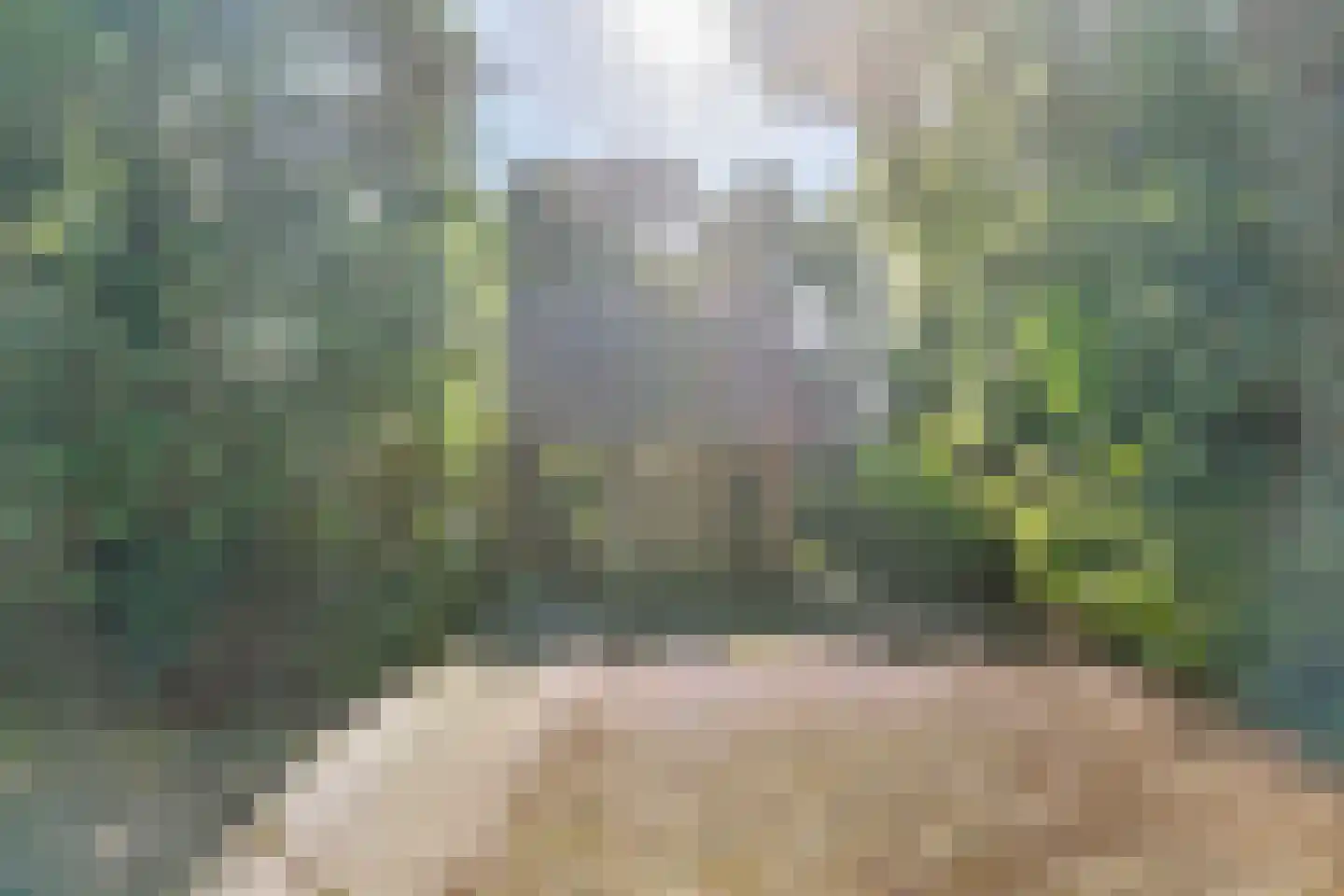 Hupselse Markenweg 4 101 Eibergen thumbnail 9