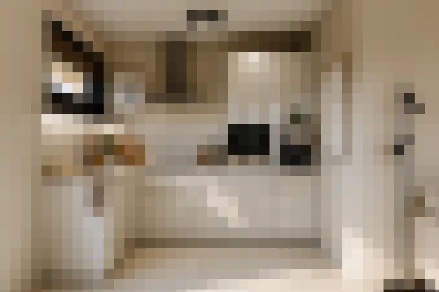 Hupselse Markenweg 4 Eibergen thumbnail 21