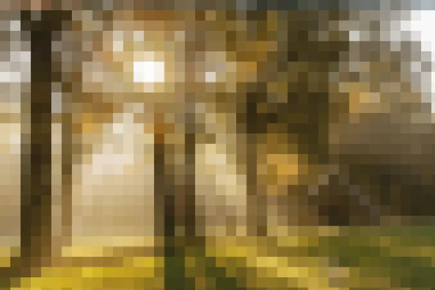 Hupselse Markenweg 4 Eibergen thumbnail 34