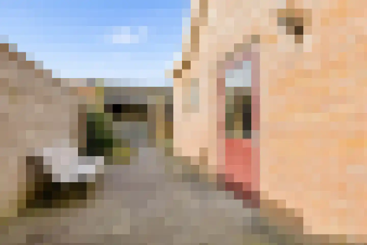 Hupselseweg 14 Eibergen thumbnail 35