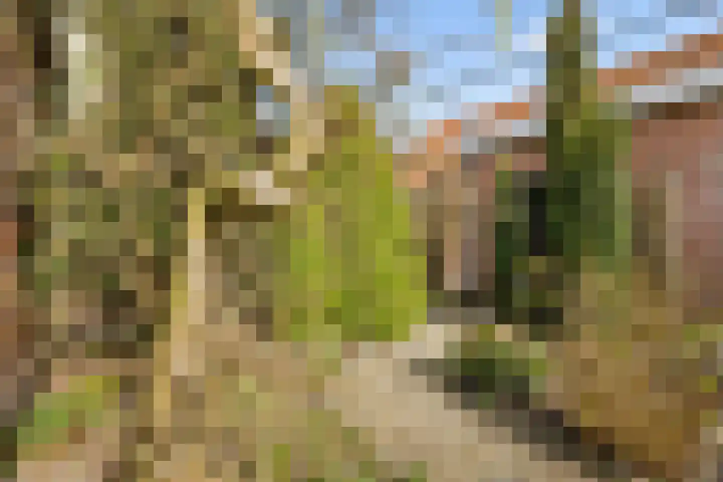 Hupselseweg 14 Eibergen thumbnail 37
