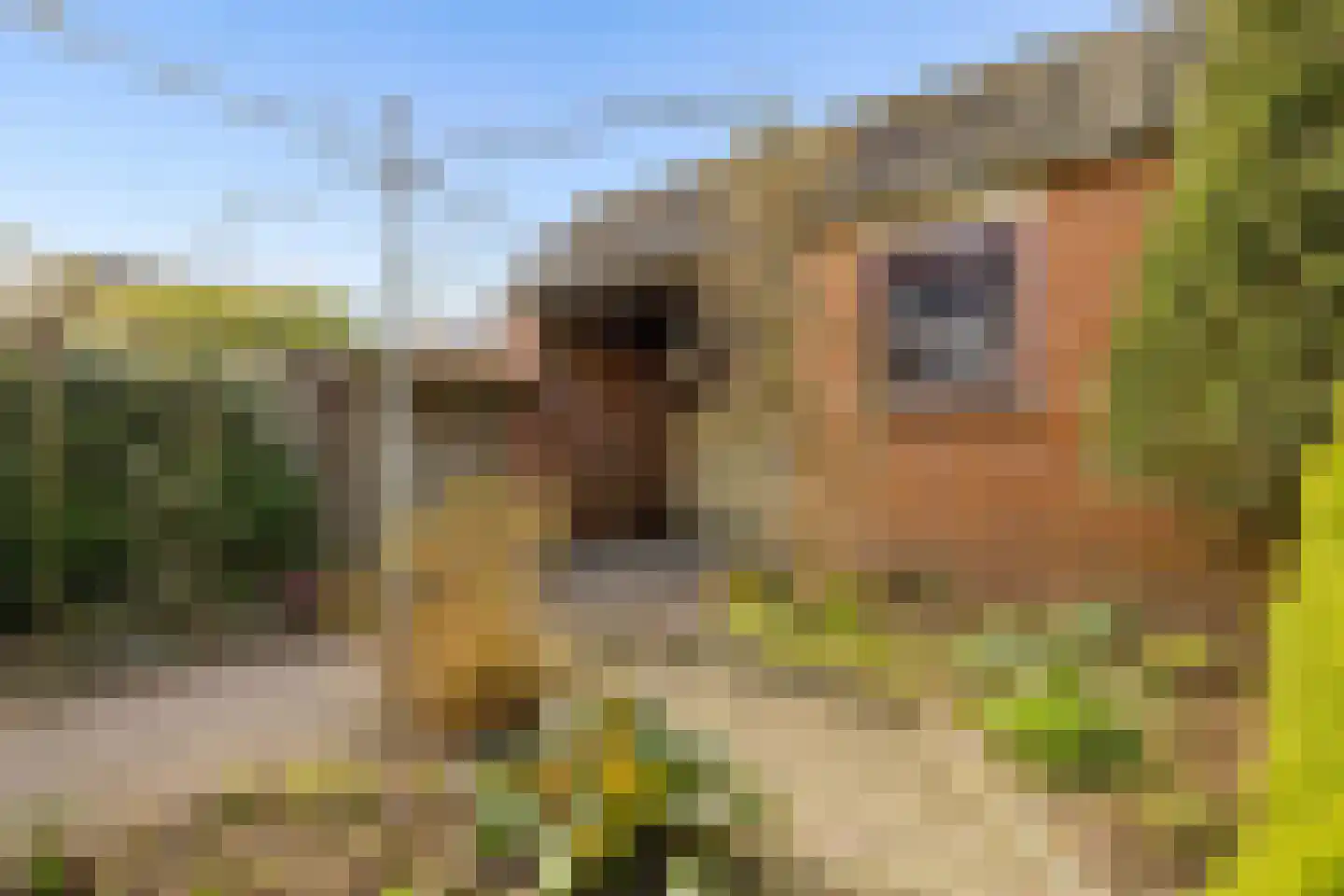 Hupselseweg 14 Eibergen thumbnail 38