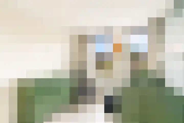 Hupselseweg 62 Eibergen thumbnail 37