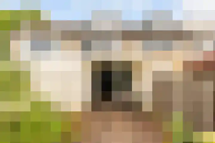 Hupselseweg 62 Eibergen thumbnail 51