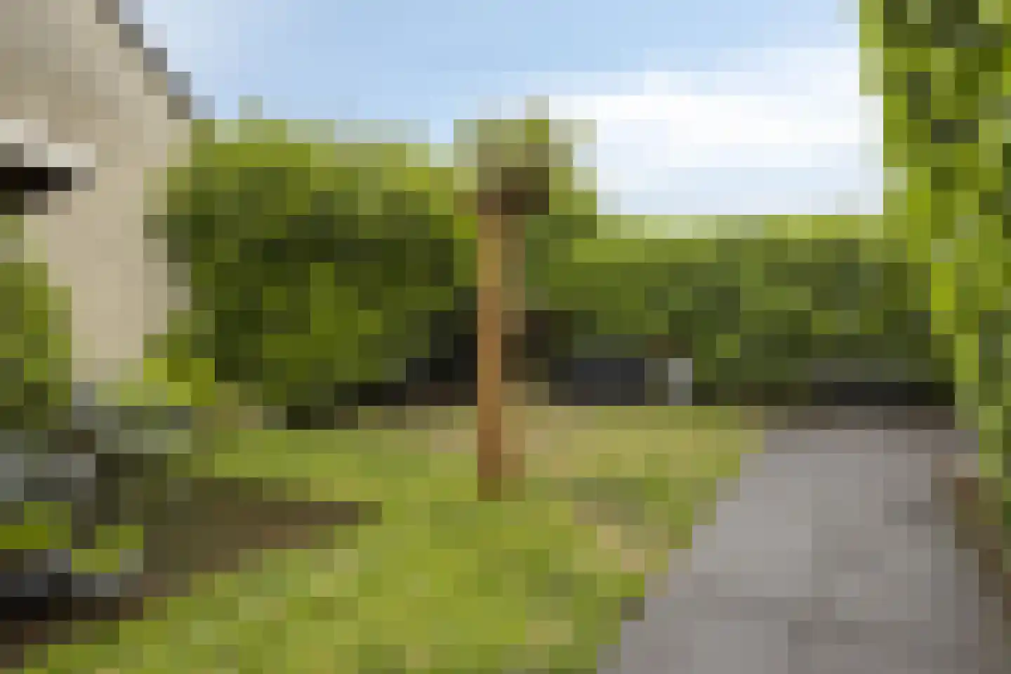 Hupselseweg 9 Eibergen thumbnail 36
