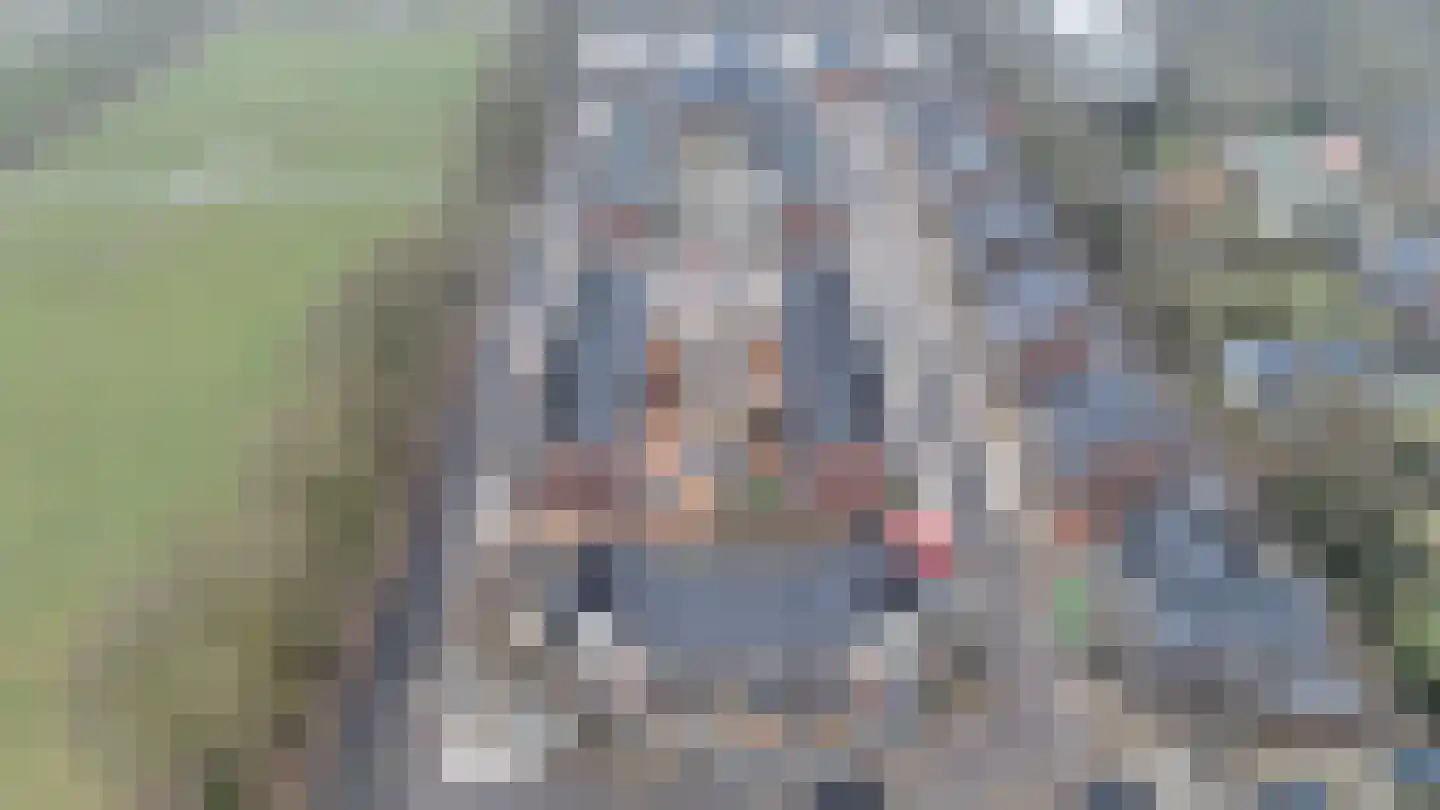 Hurddraverij 36 Burgum thumbnail 6