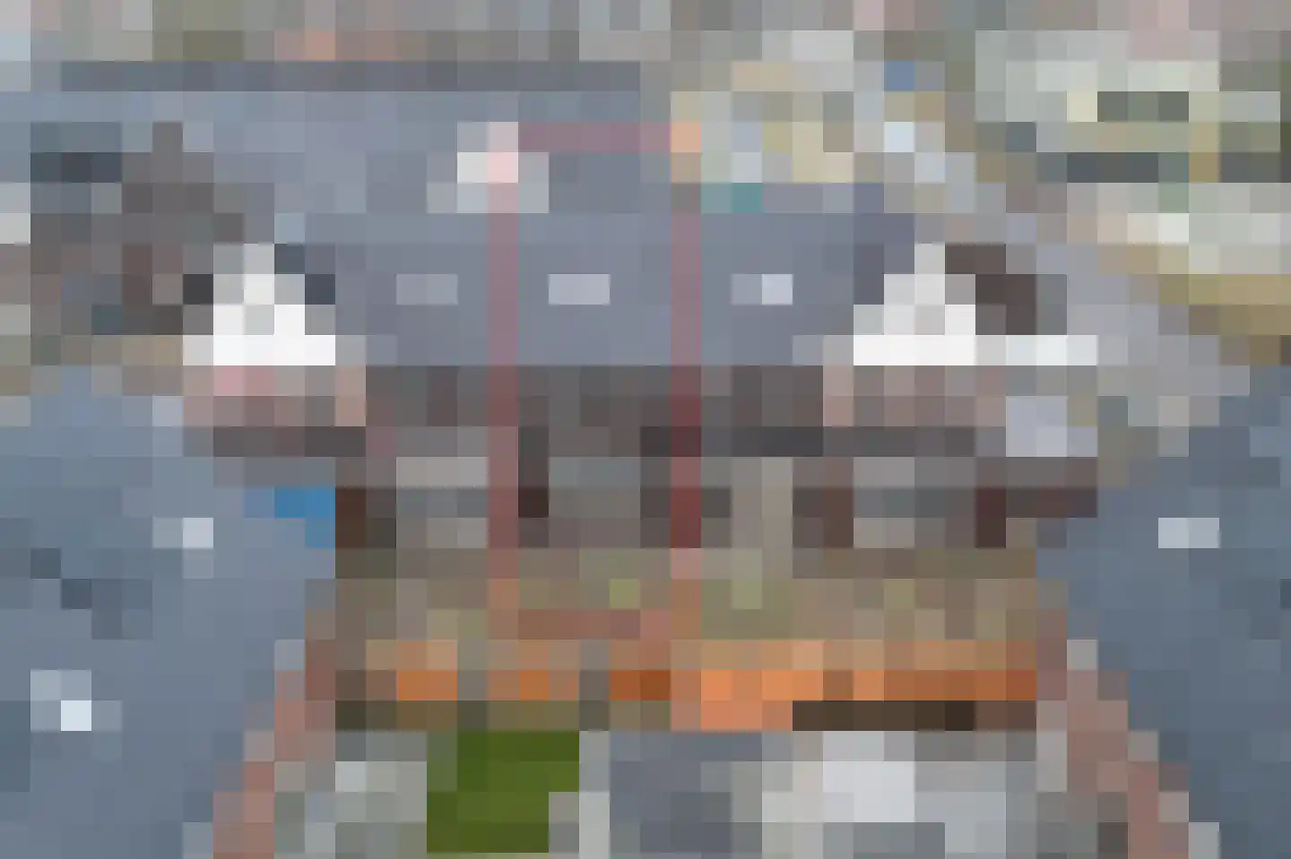 Hurddraverij 36 Burgum thumbnail 7