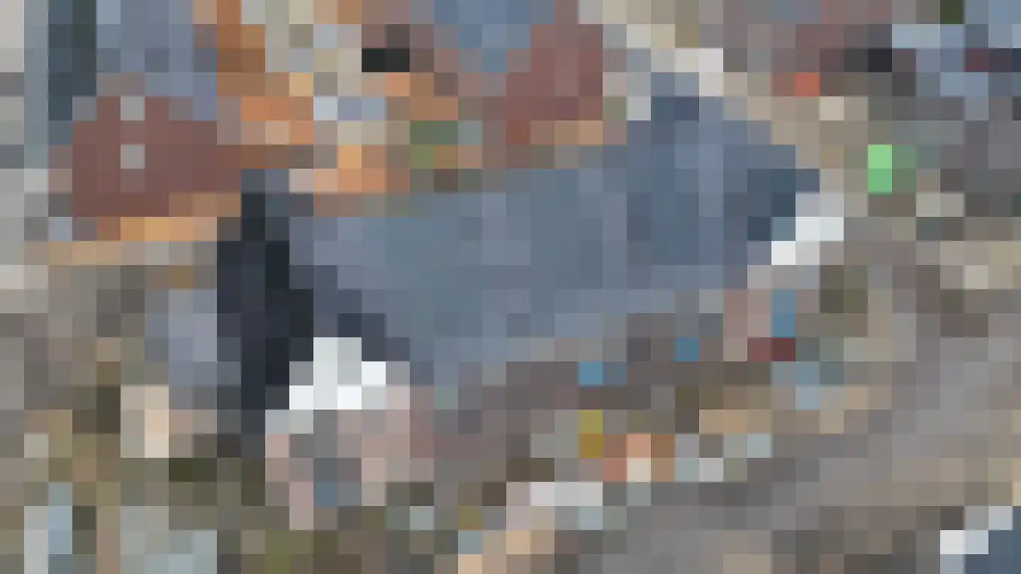 Hurddraverij 36 Burgum thumbnail 8