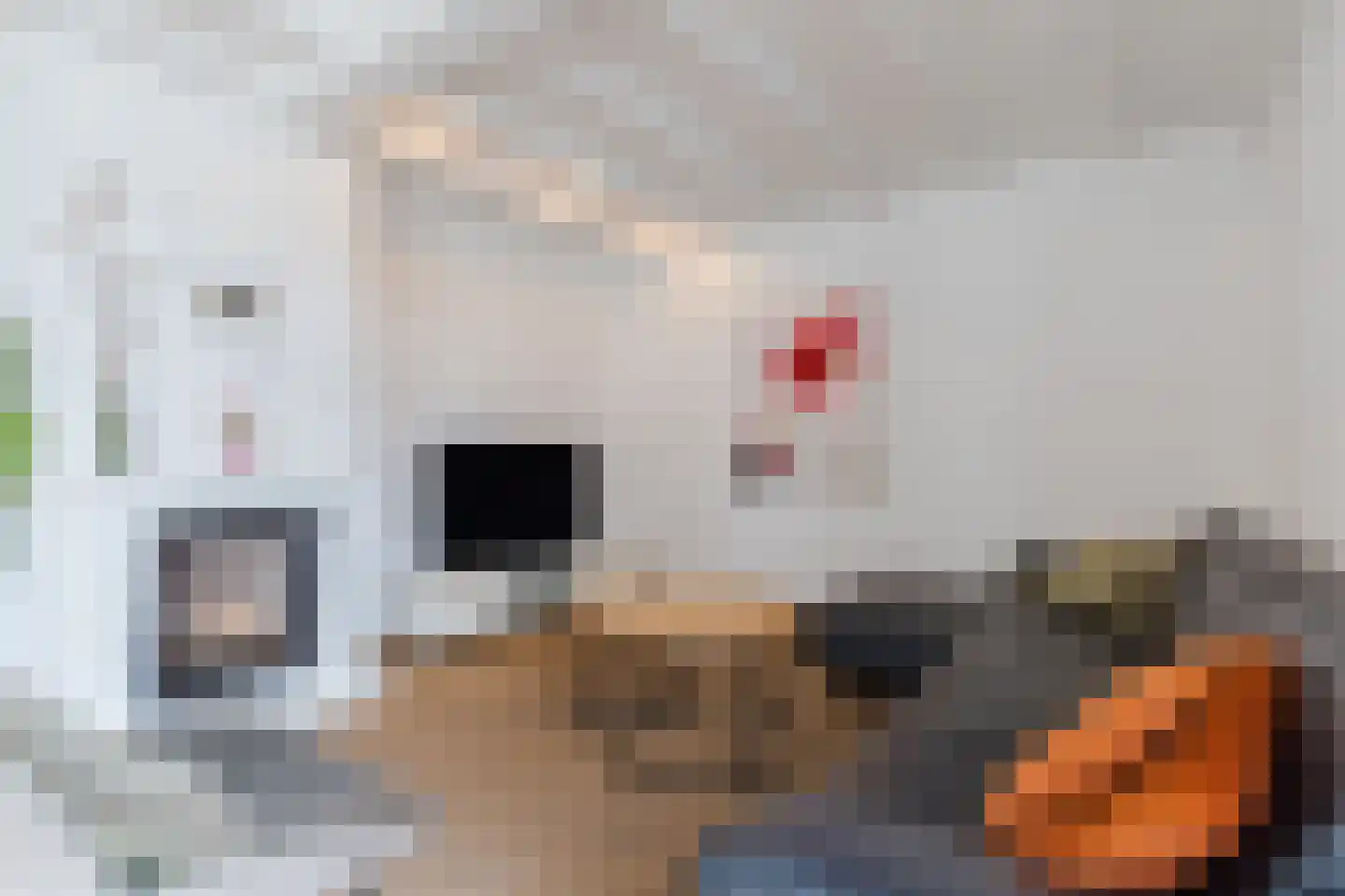 Hurk 114 Uden thumbnail 10