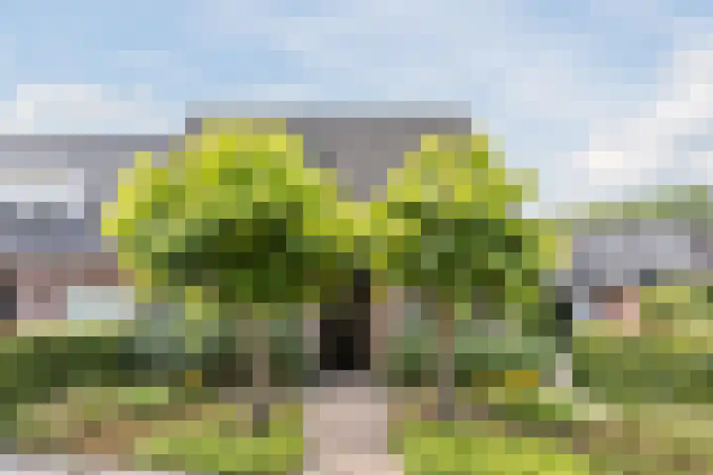 Hurk 114 Uden thumbnail 7