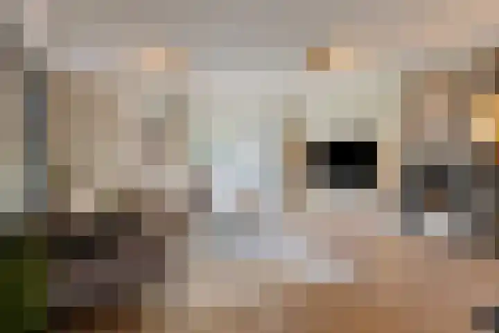 Hurk 124 Uden foto 3