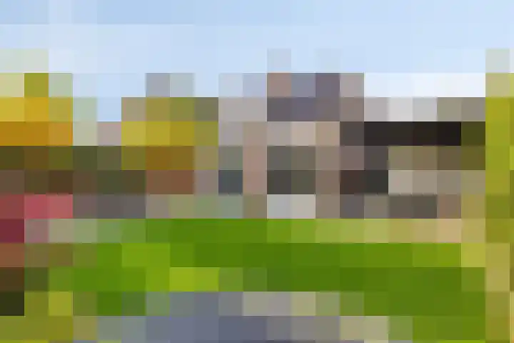 Hurk 124 Uden thumbnail 4