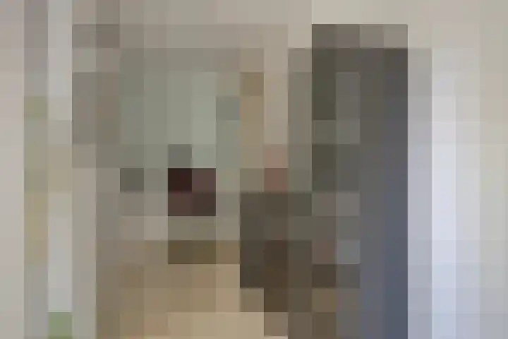 Hurk 209 Uden thumbnail 22