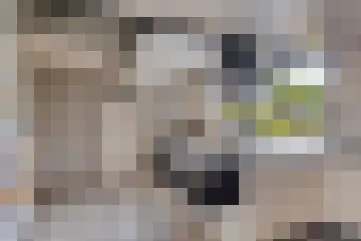 Hurk 209 Uden thumbnail 23