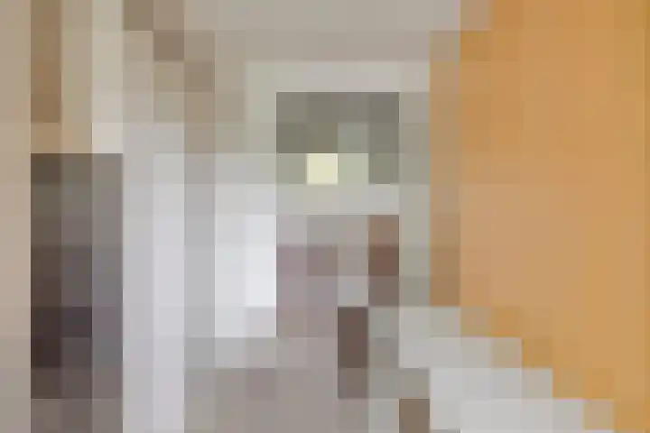 Hurk 209 Uden thumbnail 33