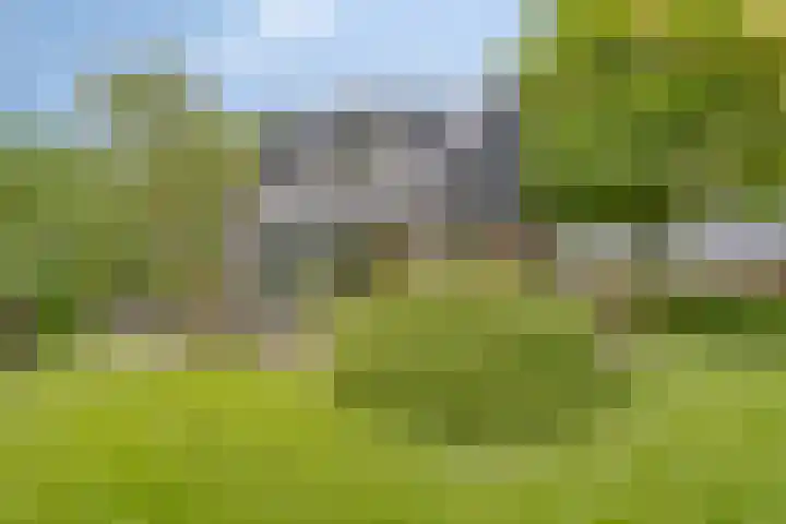 Hurk 209 Uden thumbnail 4