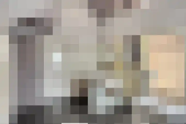 Hurk 209 Uden thumbnail 44