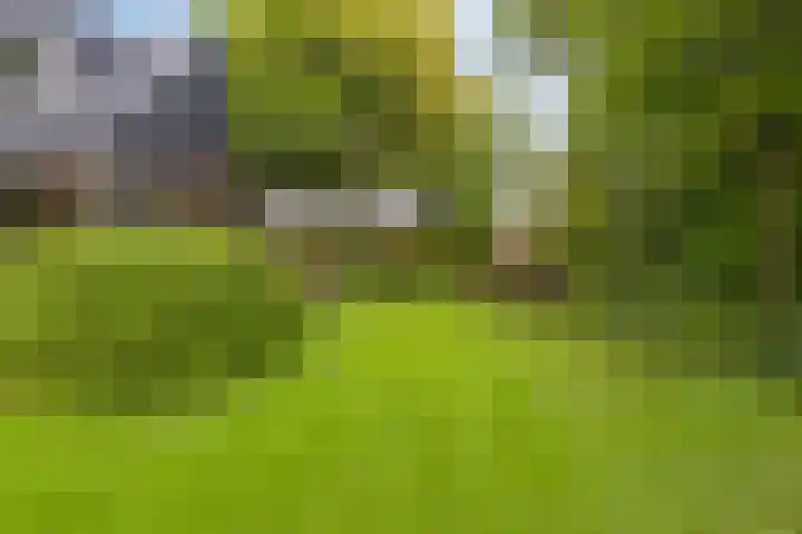 Hurk 209 Uden thumbnail 50