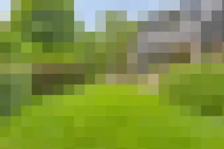 Hurk 209 Uden thumbnail 51