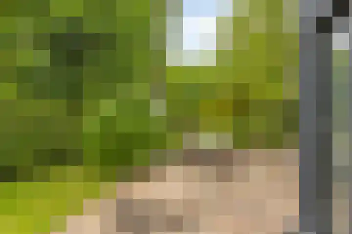 Hurk 209 Uden thumbnail 53