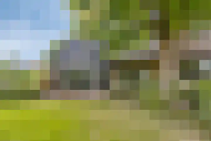 Hurk 209 Uden thumbnail 54