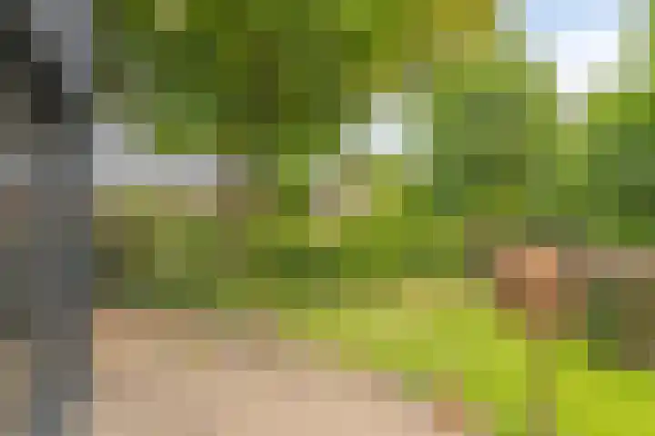 Hurk 209 Uden thumbnail 55