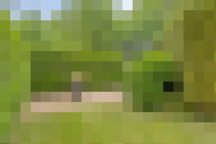 Hurk 209 Uden thumbnail 58