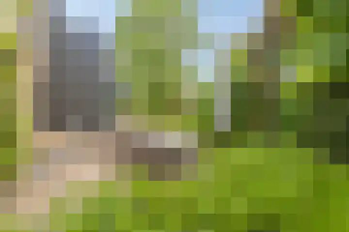 Hurk 209 Uden thumbnail 59