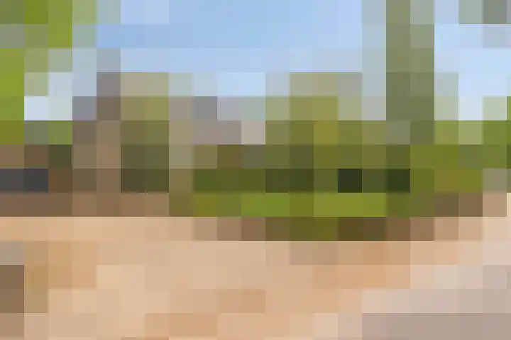 Hurk 209 Uden thumbnail 62