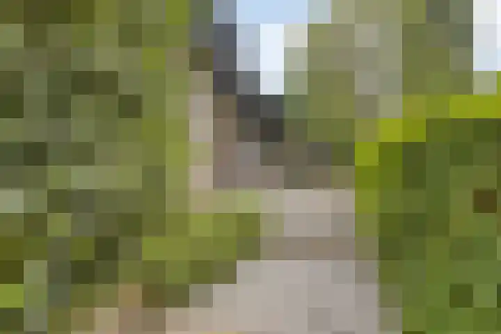 Hurk 209 Uden thumbnail 7