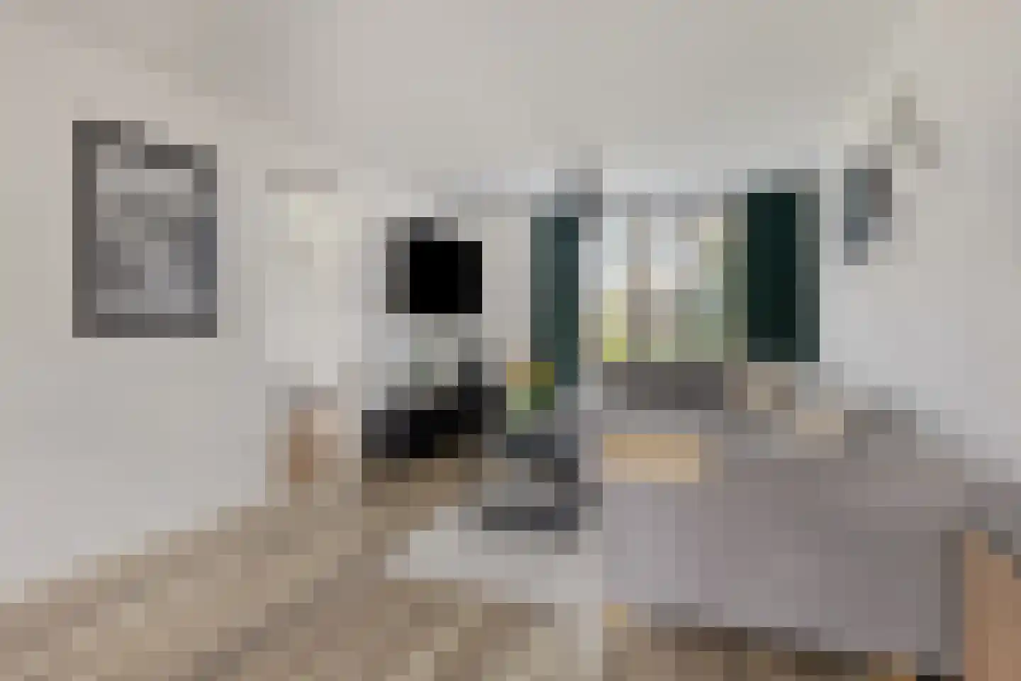 Hurk 3 Gemert thumbnail 10