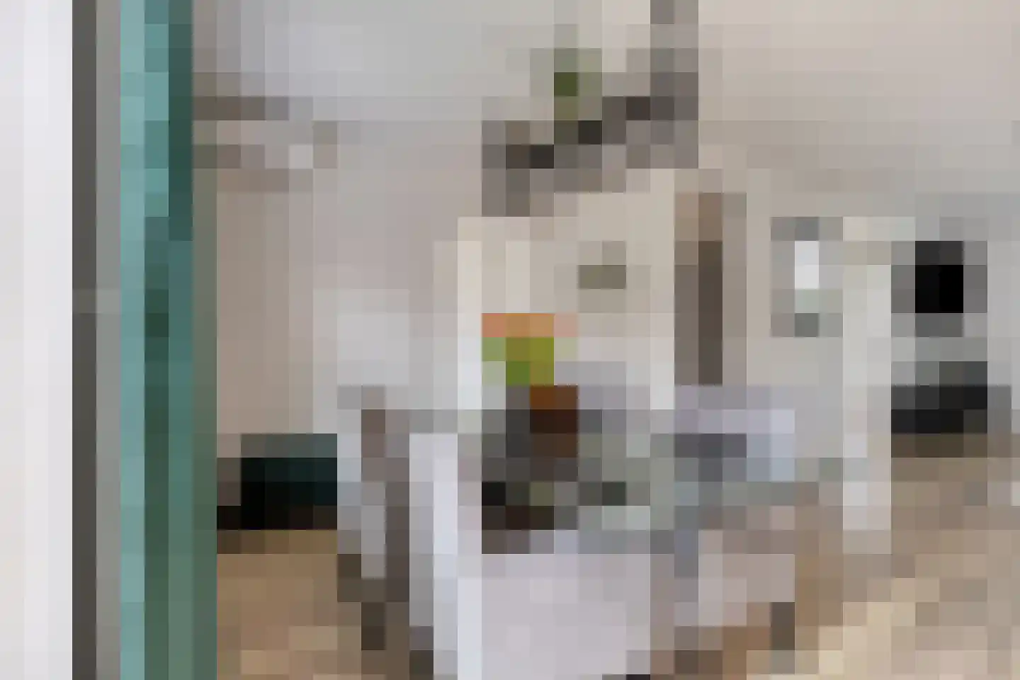 Hurk 3 Gemert thumbnail 13