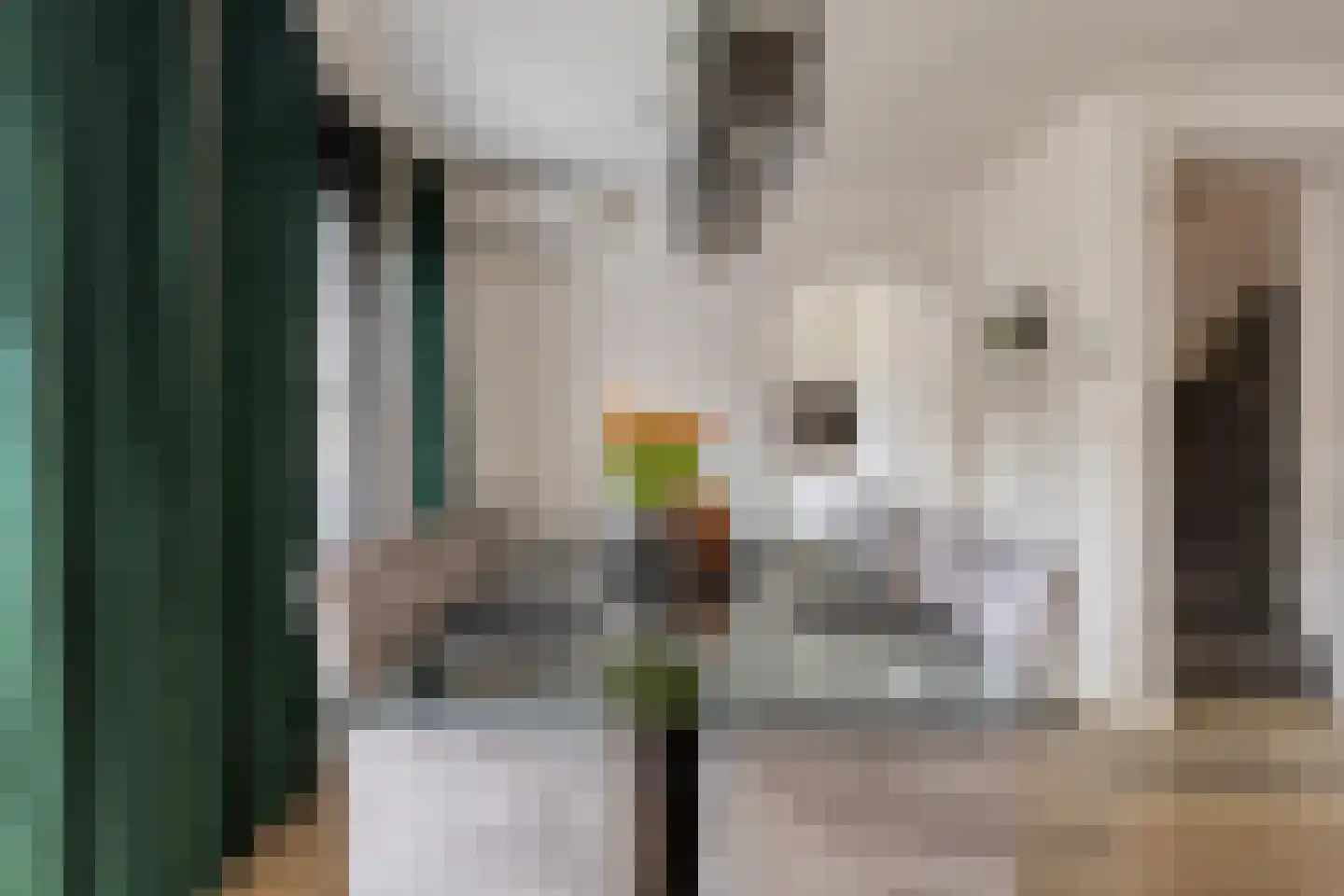 Hurk 3 Gemert thumbnail 14