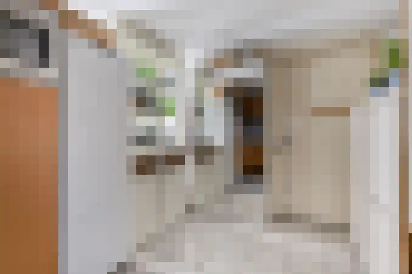 Hurk 3 Gemert thumbnail 21
