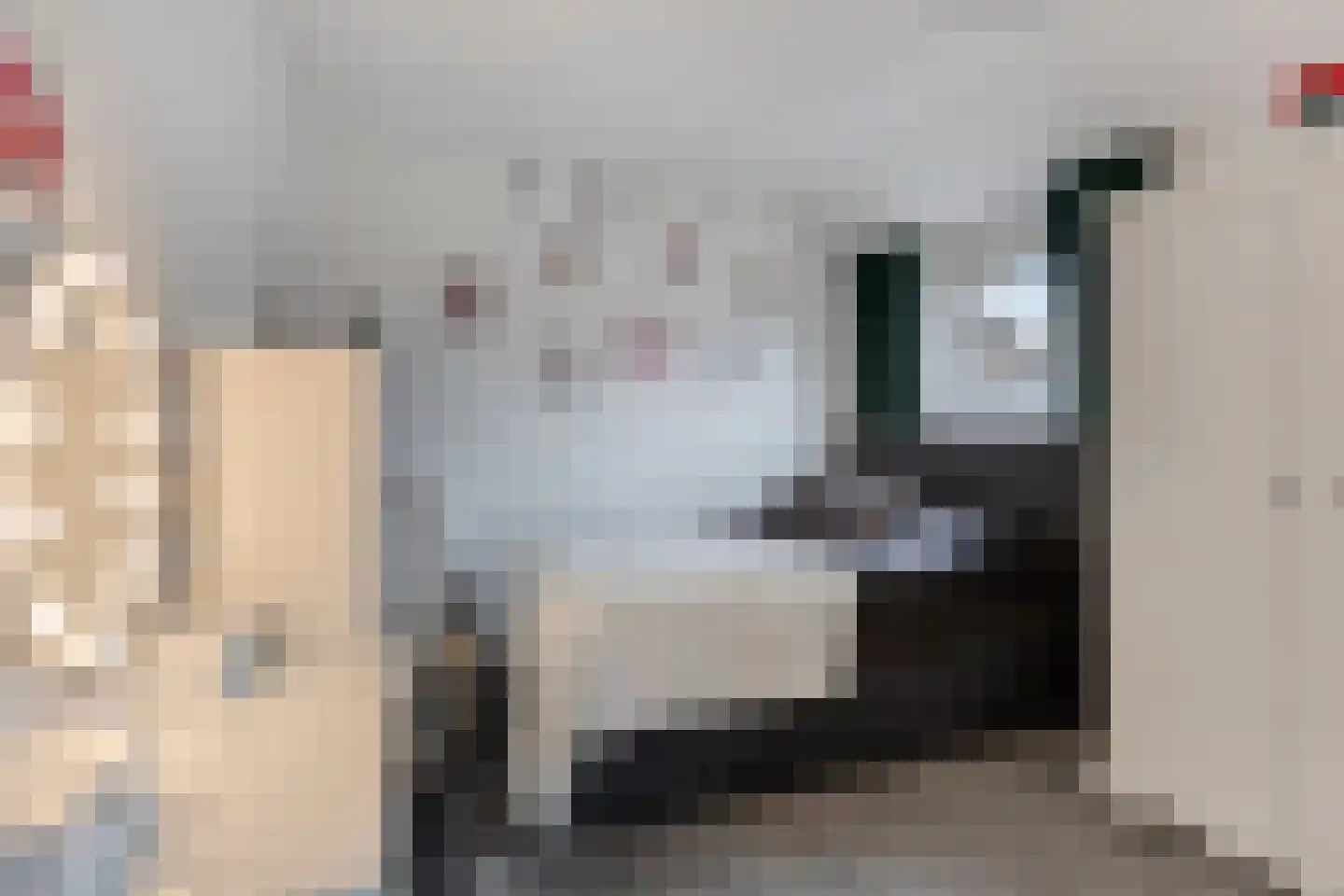 Hurk 3 Gemert thumbnail 27