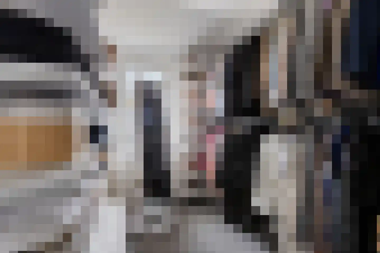 Hurk 3 Gemert thumbnail 34