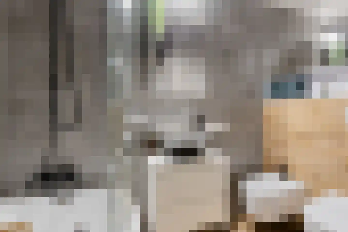 Hurk 3 Gemert thumbnail 36