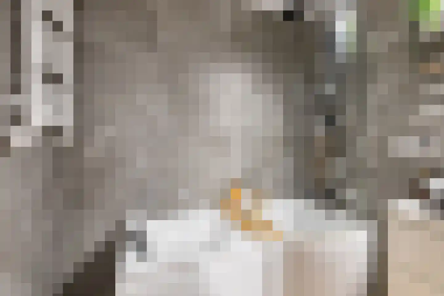Hurk 3 Gemert thumbnail 37