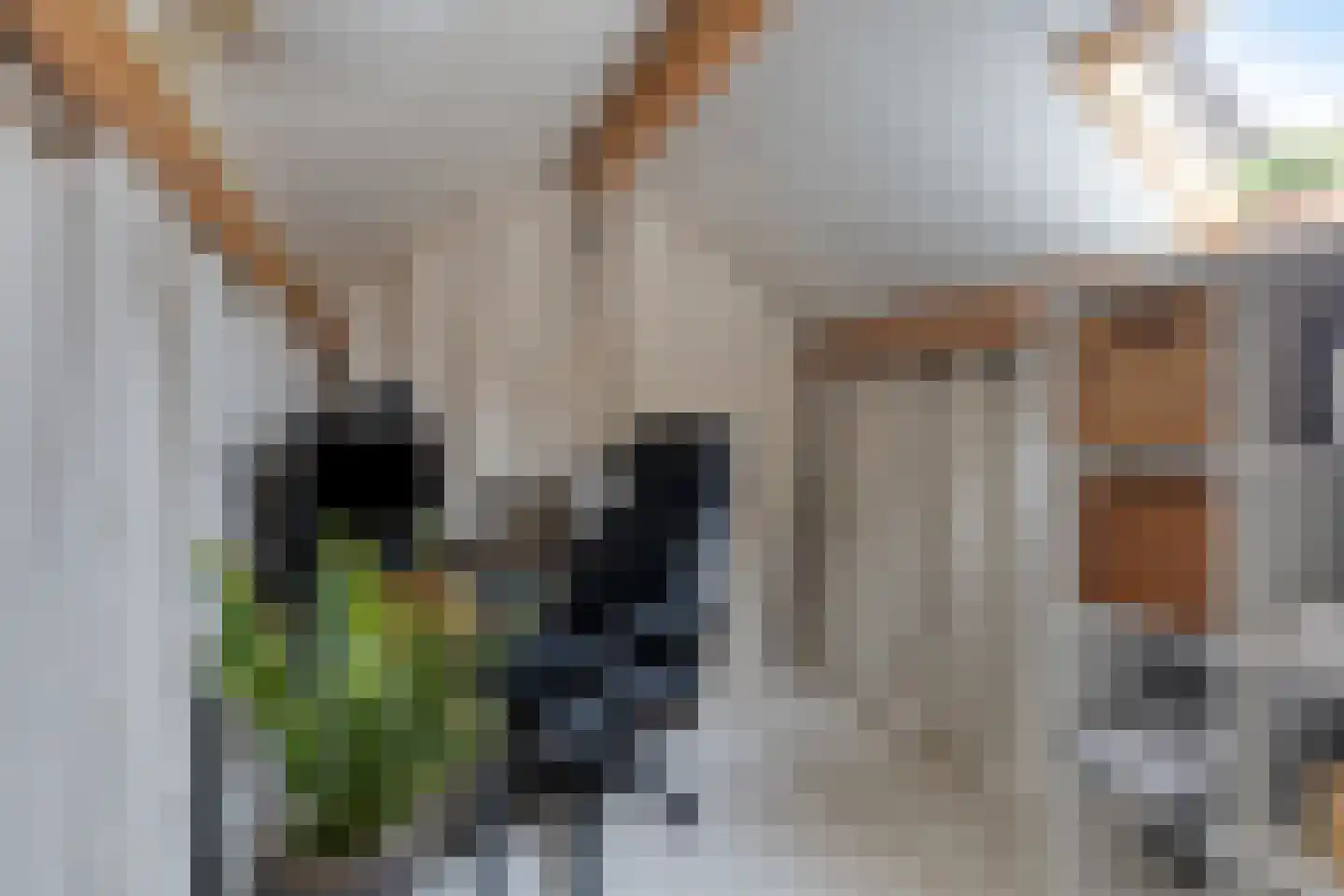 Hurk 3 Gemert thumbnail 40