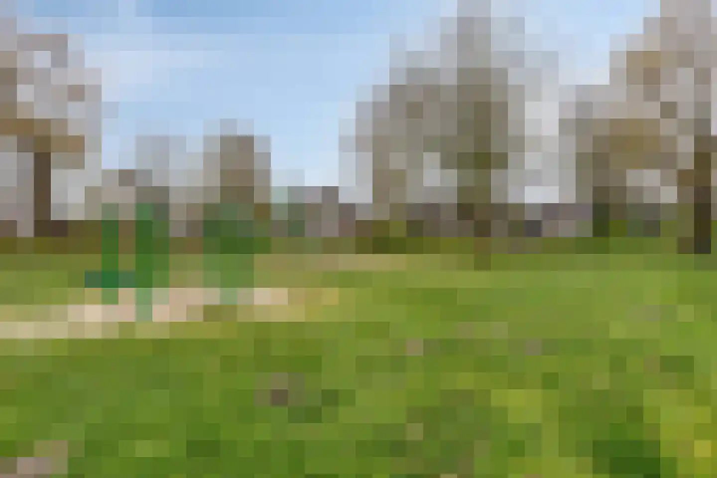 Hurk 3 Gemert thumbnail 45
